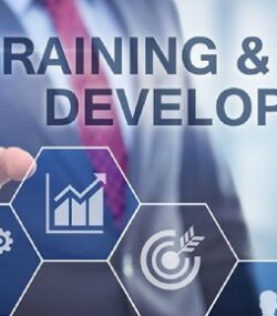 New Project (41)(128)