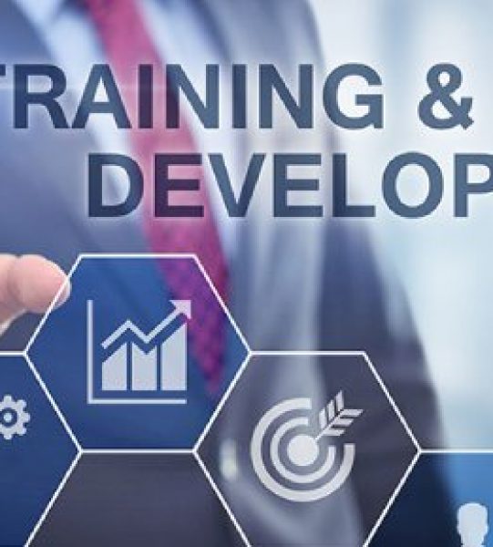 New Project (41)(128) New Project (41)(128)