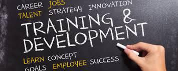 Training_&_Development_Photo